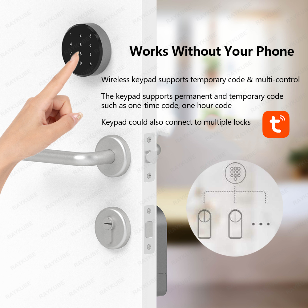 RAYKUBE A1 Pro Tuya BEL スマート電子 - Home Security Keypad のレビューと価格