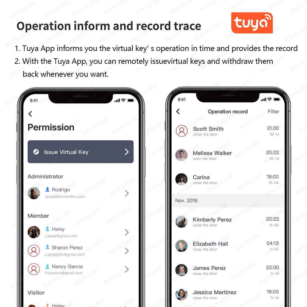 RAYKUBE A1 Pro Tuya BEL スマート電子 - Home Security Keypad のレビューと価格