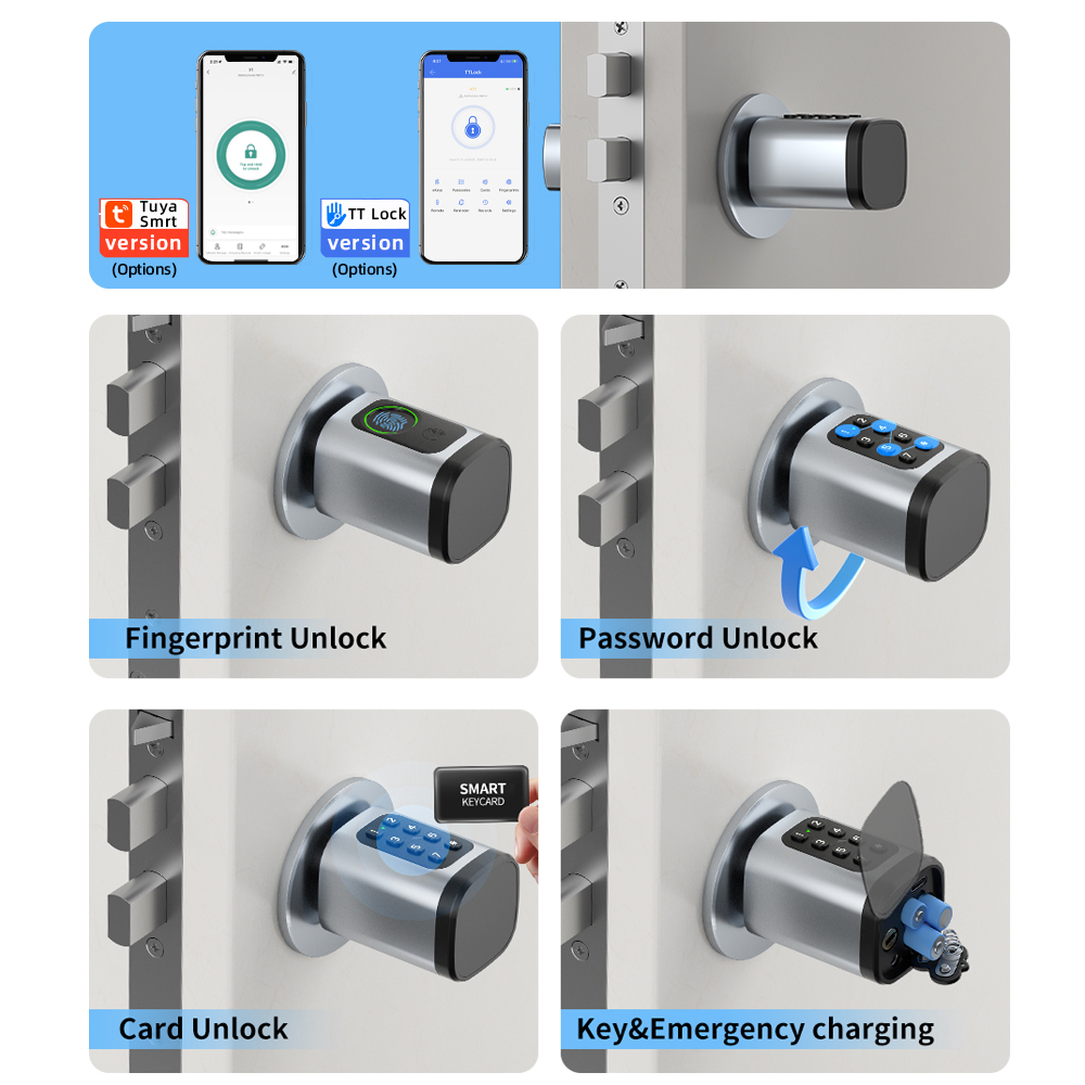 RAYKUBE V1 Tuya BLE TT ロックスマート - Home Security Keypad のレビューと価格